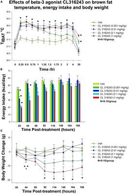 Effects of Combined Oxytocin and Beta-3 Receptor Agonist (CL 316243) Treatment on Body Weight and Adiposity in Male Diet-Induced Obese Rats